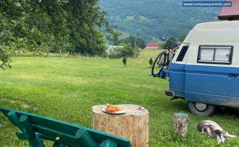 CAMP SCEPANOVIC