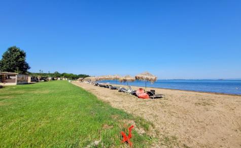 AILYAKA